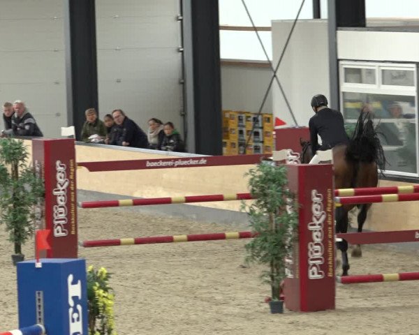 Reitturnier Borken 2022