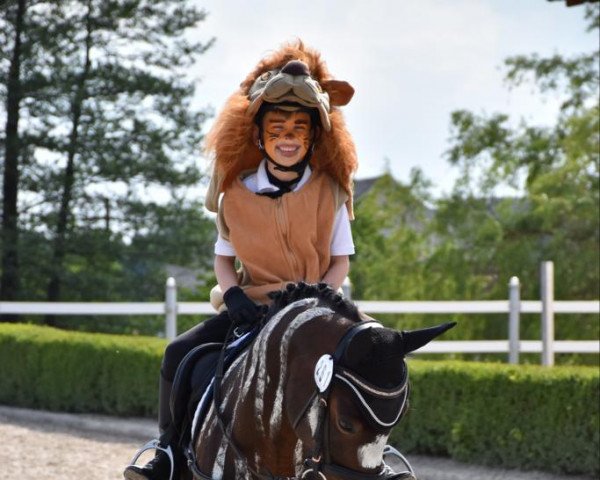 broodmare Wiesenguts Trudi (German Riding Pony, 2016, from Munser II)