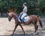 dressage horse Squas Little Speedy (unknown, 2005, from Spuas Little Bucky)