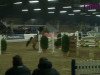 Pferd Amadeus 856 (Belgisches Warmblut, 2000, von Wellington)