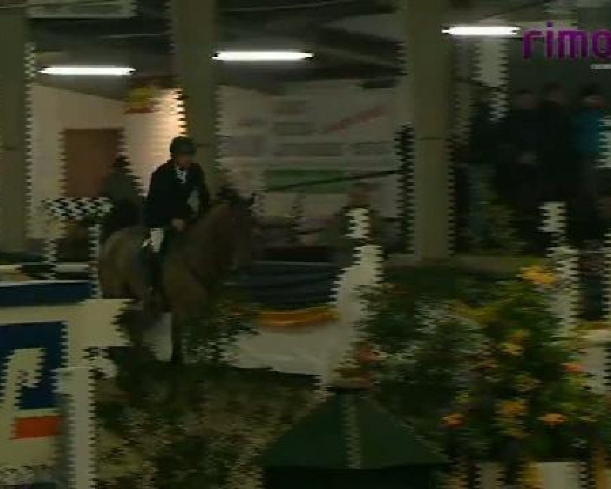 jumper Cantano T (Holsteiner, 2005, from Candillo Z)