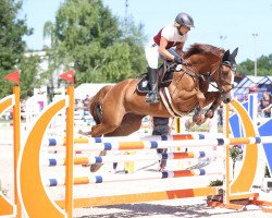 jumper Final 12 (Polish Warmblood, 2009, from Ulco)