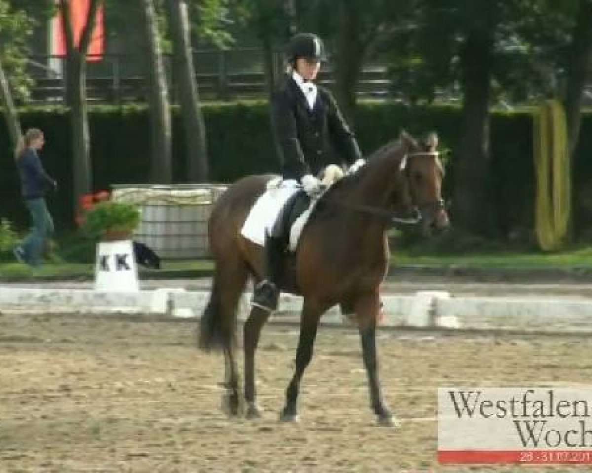Springpferd Vogy's Dream CR (Deutsches Reitpony, 2008, von Voyager 2)
