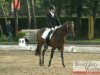 jumper Vogy's Dream CR (German Riding Pony, 2008, from Voyager 2)