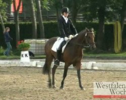 jumper Vogy's Dream CR (German Riding Pony, 2008, from Voyager 2)