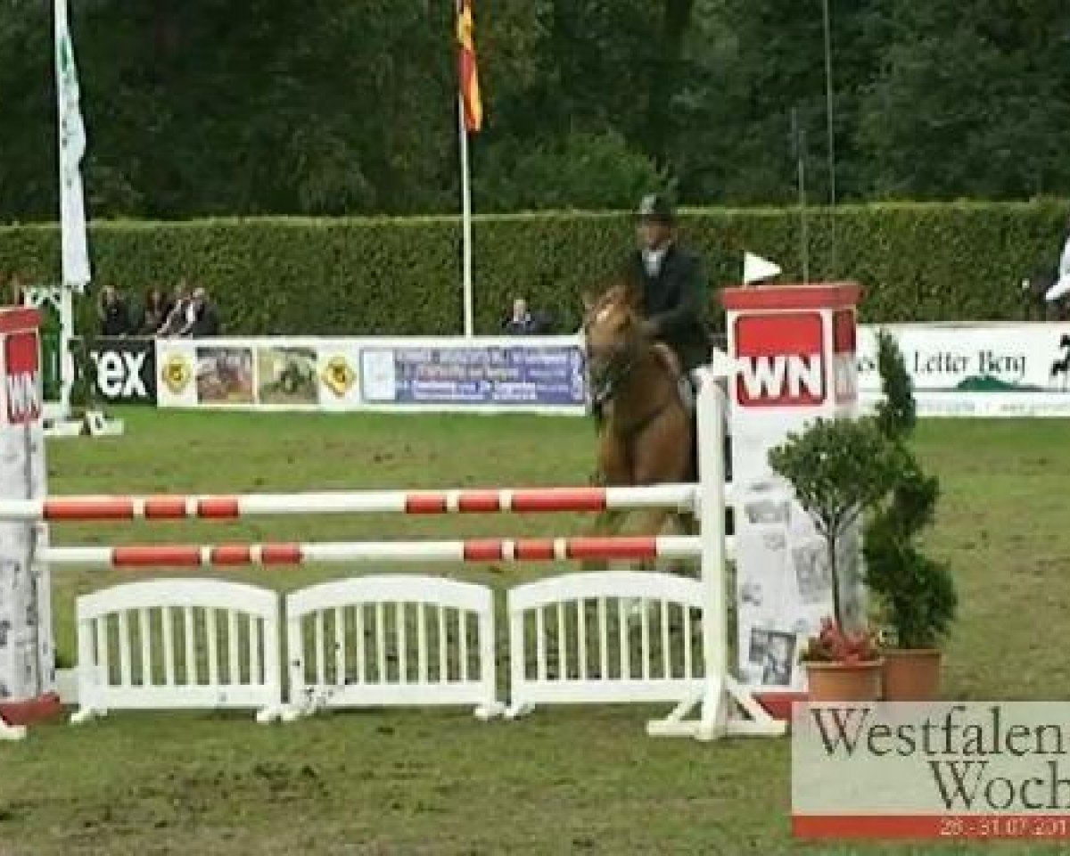 jumper Elenya D (Hanoverian, 1997, from Escudo I)