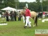 broodmare Vicky F (German Riding Pony, 2008, from Van Heinrich)