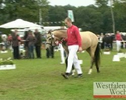 broodmare Vicky F (German Riding Pony, 2008, from Van Heinrich)