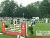 jumper Gabbiano 11 (Oldenburg show jumper, 2005, from Grandino 25)