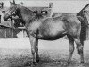 broodmare Relance xx (Thoroughbred, 1952, from Relic xx)