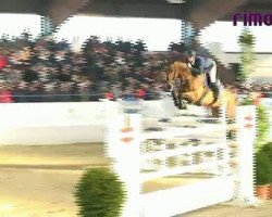 jumper Lord Pik (Oldenburg, 1999, from Lordanos)