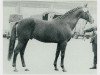 Pferd Papayer xx (Englisches Vollblut, 1954, von Persian Gulf xx)