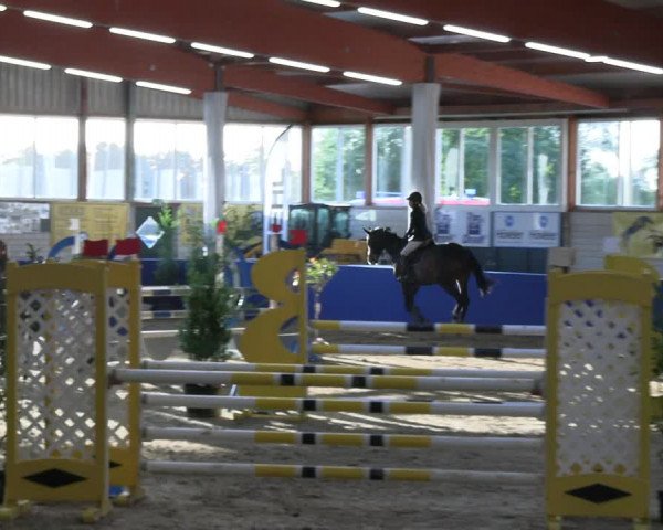 Reitturnier Isterberg Euregio Springturnier 2022