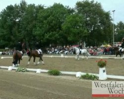 dressage horse Clever and Smart (Westphalian, 1999, from Castus II)