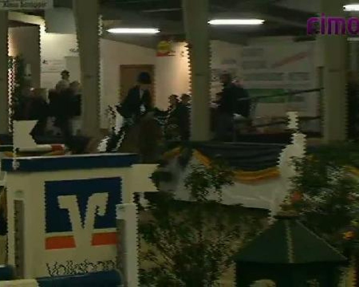 Zuchtstute Skarlett 36 (Deutsches Sportpferd, 2005, von Saccor)