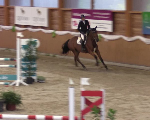 Reitturnier Xanten - Reitanlage Miss 2022
