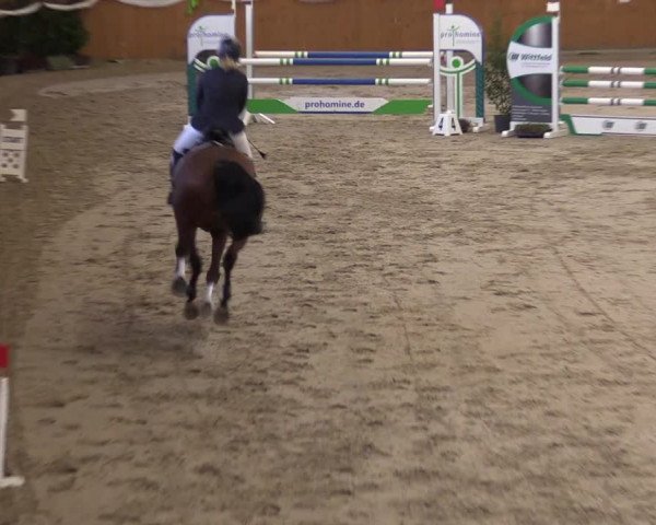 Reitturnier Xanten - Reitanlage Miss 2022