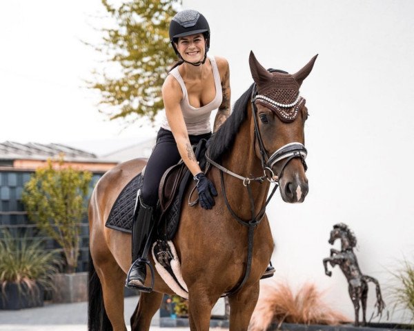 dressage horse Don't need magic (German Sport Horse, 2018, from Quat-Royal)