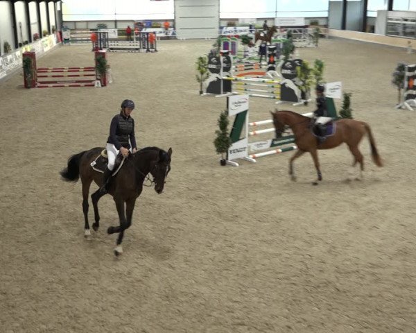 Reitturnier Borken 2022