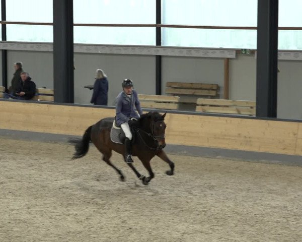 Reitturnier Borken 2022