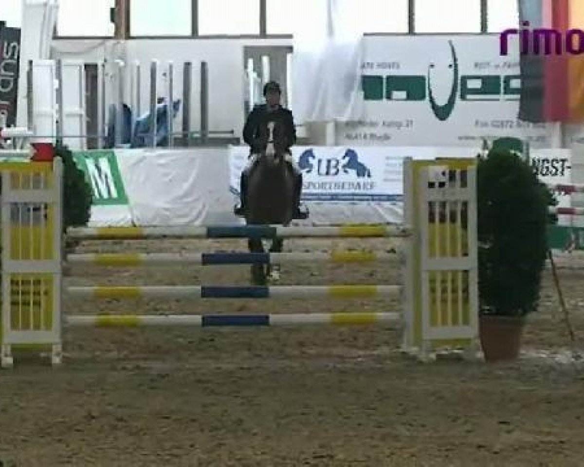 jumper Forrest Gump 112 (Belgian Warmblood, 2005)