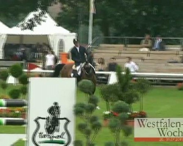 jumper Balou B. (Oldenburg, 2005, from Balou du Rouet)