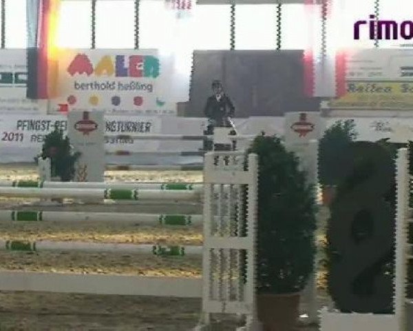 jumper Zefijros (KWPN (Royal Dutch Sporthorse), 2004, from Lupicor)