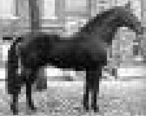 broodmare Zarona II (Holsteiner, 1985, from Silvester)