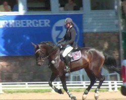 jumper Etania 2 (German Sport Horse, 2007, from Chateau de Brion Quainton)