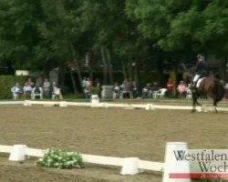 dressage horse Frühlingsbote RB (Westphalian, 2008, from For Compliment)