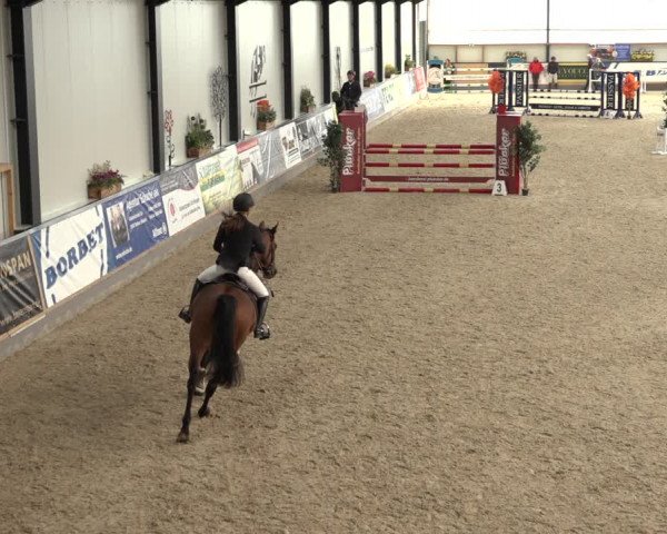 Reitturnier Borken 2022
