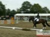 dressage horse Cayman 24 (Westphalian, 2006, from Conceicao)