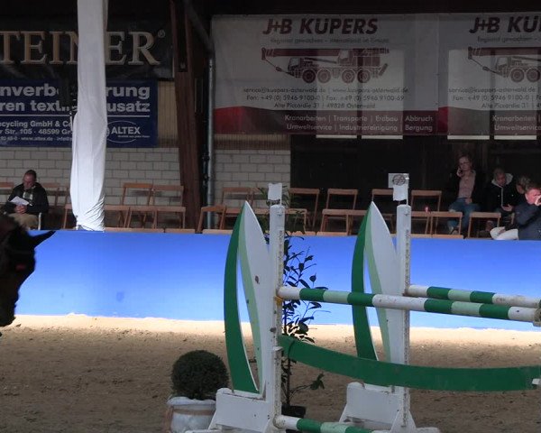 Reitturnier Isterberg Euregio Springturnier 2022