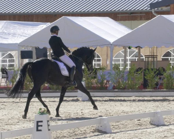 Reitturnier Troisdorf - Haus Rott 2022