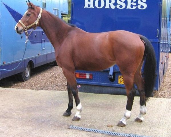 horse Sky (Oldenburg, 1996, from Silvio I)