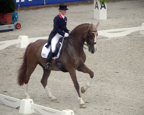 dressage horse Mistral Hojris (Danish Warmblood, 1995, from Michellino)