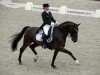 dressage horse El Santo NRW (Rhinelander, 2001, from Ehrentusch)