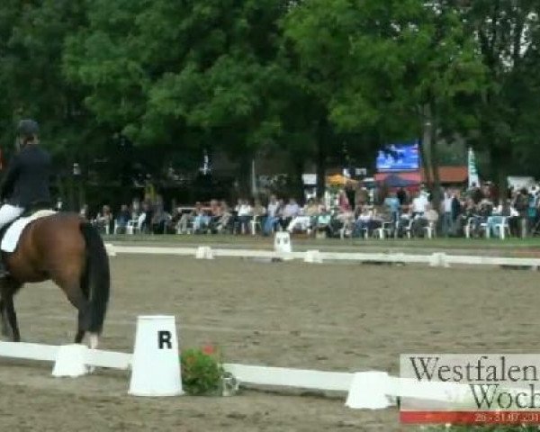 dressage horse El Cantaro 4 (Westphalian, 2008)