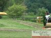 dressage horse Rhea Noire (Westphalian, 2005, from Rosenkoenig)