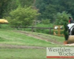 dressage horse Rhea Noire (Westphalian, 2005, from Rosenkoenig)