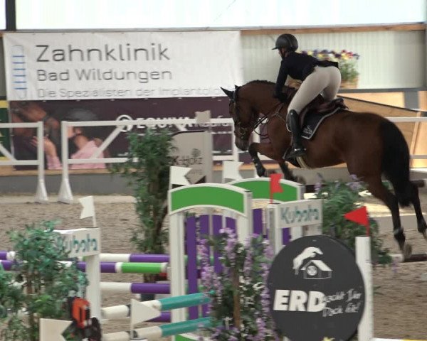 Reitturnier Borken 2022