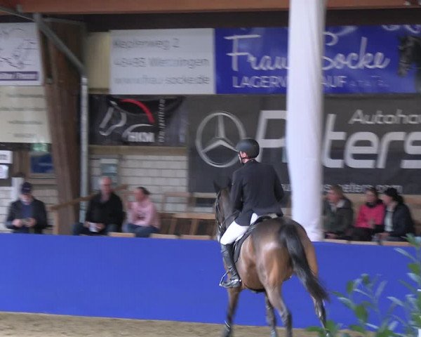 Reitturnier Isterberg Euregio Springturnier 2022