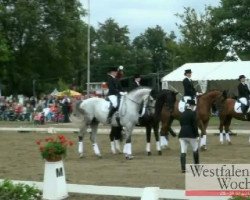 dressage horse Fidertanz RH (Westphalian, 2002, from Fidermark)