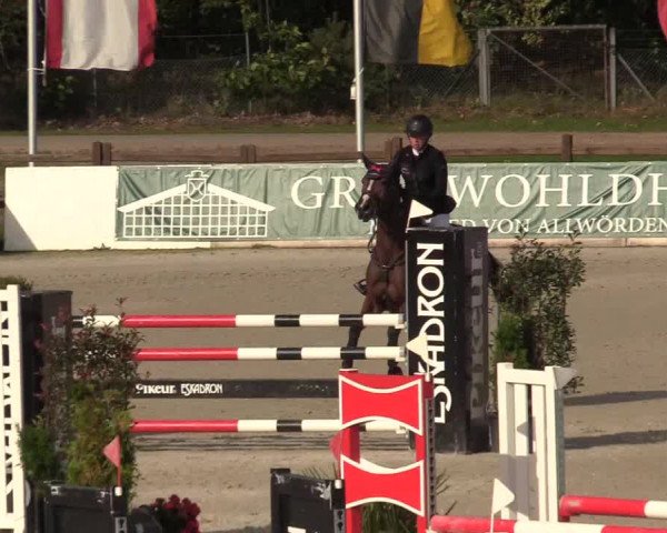 Reitturnier Westergellersen 2022
