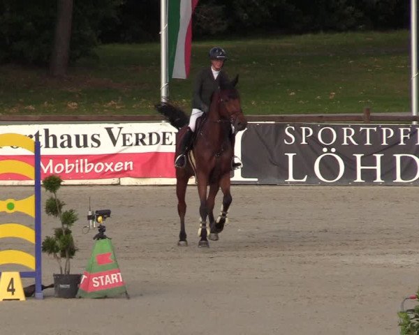 Reitturnier Westergellersen 2022