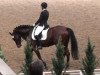 dressage horse Depoint (Westphalian, 1997, from Dinard L)