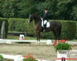 dressage horse Ravel 332 (Hanoverian, 2006, from Rotspon)