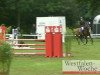 jumper ECL Quantana (Hessian Warmblood, 2006, from Quick Boy)