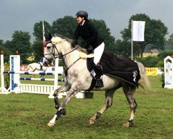 jumper Pfeffer K (Oldenburg show jumper, 2010, from Califax)