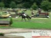 dressage horse Don Augusto 2 (Hanoverian, 2006, from Don Frederico)